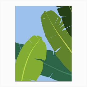 Banana Leaf Canvas Print