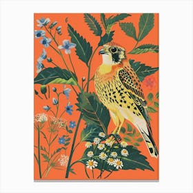 Spring Birds American Kestrel 2 Canvas Print