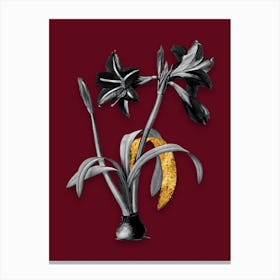 Vintage Brazilian Amaryllis Black and White Gold Leaf Floral Art on Burgundy Red n.0540 Canvas Print