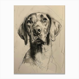 Redbone Hound Dog Charcoal Line 1 Canvas Print