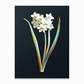 Vintage Narcissus Easter Flower Botanical Watercolor Illustration on Dark Teal Blue n.0423 Canvas Print