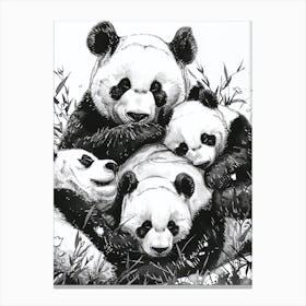 Giant Panda Family Sleeping Ink Illustration 2 Canvas Print
