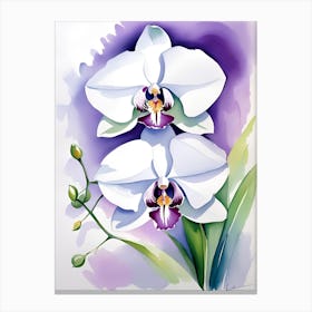 Orchids 5 Canvas Print