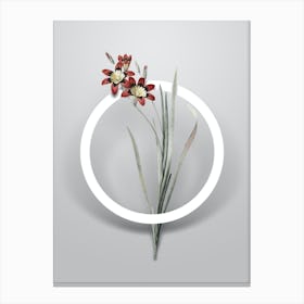 Vintage Ixia Tricolor Minimalist Flower Geometric Circle on Soft Gray Canvas Print