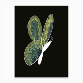 Butterfly Canvas Print