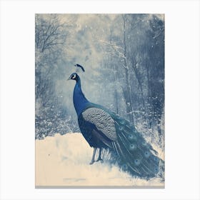Vintage Peacock Snow Scene Blue 1 Canvas Print