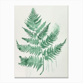 Green Ink Painting Of A Netted Chain Fern 1 Canvas Print