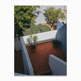 The Cactus Spotlight, Lagos, Portugal Canvas Print