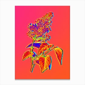 Neon Common Pink Lilac Plant Botanical in Hot Pink and Electric Blue n.0162 Canvas Print
