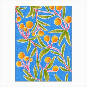 Oranges On Blue Canvas Print