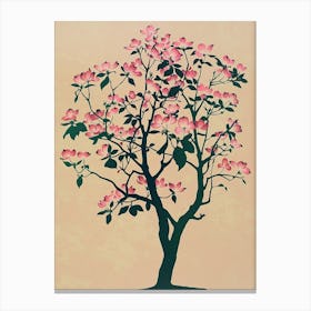 Dogwood Tree Colourful Illustration 4 Canvas Print