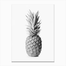 Pineapple For Home Canvas Print