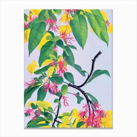 Himalayan Honeysuckle Eclectic Boho Plant Canvas Print