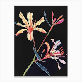 Neon Flowers On Black Kangaroo Paw 3 Canvas Print