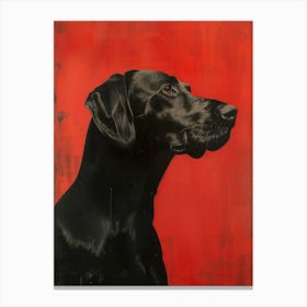 Black Labrador Canvas Print