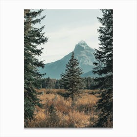 View Of A Mountain Canvas Print