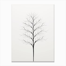 Bare Tree Canvas Print