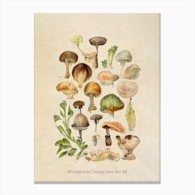 Mushroom Collection 05 Canvas Print