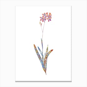 Stained Glass Corn Lily Mosaic Botanical Illustration on White n.0355 Canvas Print
