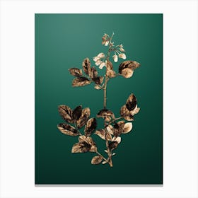 Gold Botanical Andromeda Mariana Branch on Dark Spring Green Canvas Print