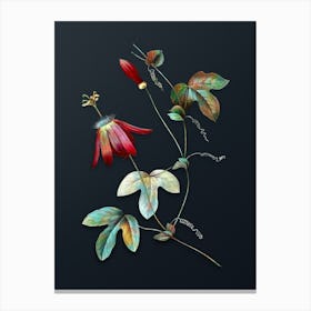 Vintage Red Passion Flower Botanical Watercolor Illustration on Dark Teal Blue Canvas Print
