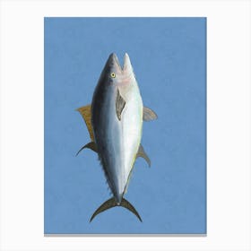 Tuna Fish Canvas Print