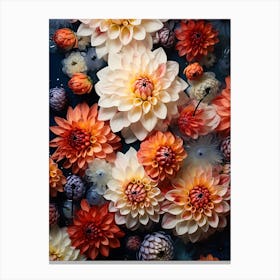 Dahlias 19 Canvas Print