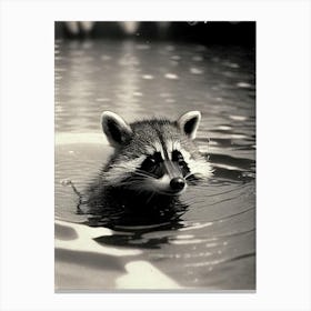 Swimming Raccoon Vintage Photography 2 Canvas Print
