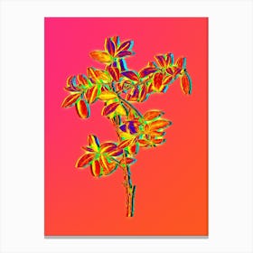 Neon Apple Berry Botanical in Hot Pink and Electric Blue n.0469 Canvas Print