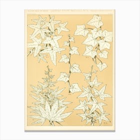 Vintage Pattern, Owen Jones            Canvas Print