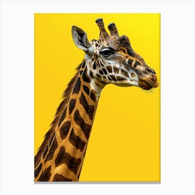 Giraffe 84 Canvas Print