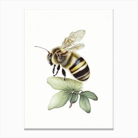 Solitary Bee 2 Vintage Canvas Print
