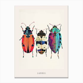 Colourful Insect Illustration Ladybug 29 Poster Canvas Print