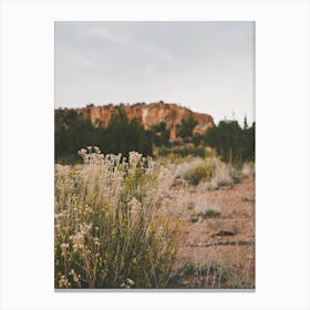 Sagebrush Desert Scenery Canvas Print