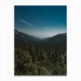 Sequoia National Park Xi Canvas Print