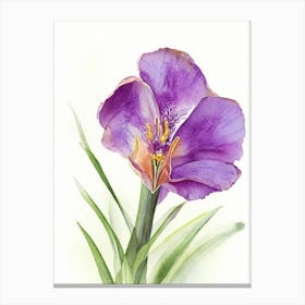 Iris Wildflower Watercolour 2 Canvas Print