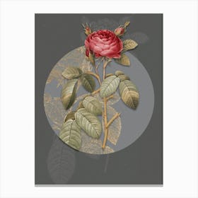 Vintage Botanical Red Gallic Rose on Circle Gray on Gray n.0309 Canvas Print