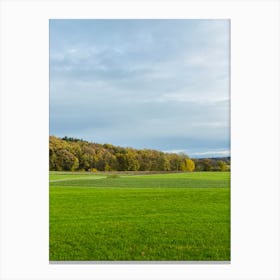 Field In Autumn Canvas Print