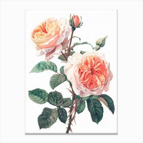 English Roses Painting Sketch Style 4 Canvas Print