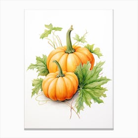 Miniature Pumpkin Watercolour Illustration 2 Canvas Print
