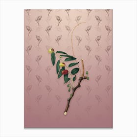 Vintage Jujube Botanical on Dusty Pink Pattern Canvas Print