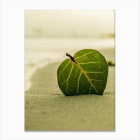 Leaf On The Beach Canvas Print