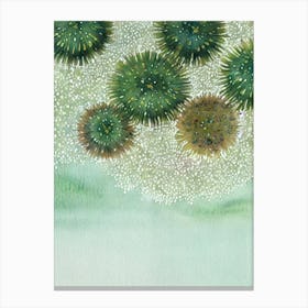 Sea Urchin Roe II Storybook Watercolour Canvas Print