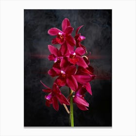 Red Orchids In Full Bloom Against A Dark Moody Background Mid Explosion Creating An Ethereal Cloud Canvas Print