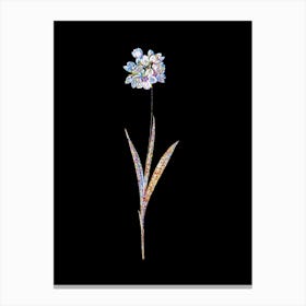 Stained Glass Ixia Maculata Mosaic Botanical Illustration on Black n.0165 Canvas Print