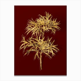 Vintage Bitter Willow Botanical in Gold on Red n.0193 Canvas Print