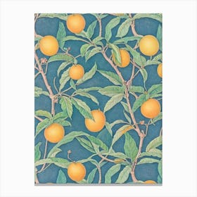 Loquat 1 Vintage Botanical Fruit Canvas Print