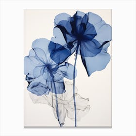 Blue Botanical Amaryllis 2 Canvas Print