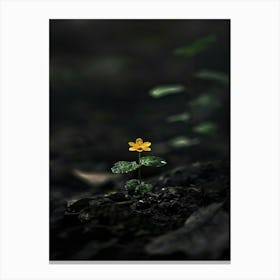 Single Yellow Flower 55 Canvas Print