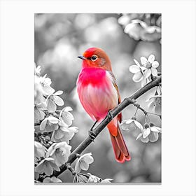 Pink Bird (1) Canvas Print